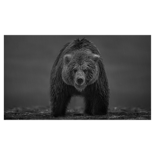 Bearish by David Yarrow, 2021 – Photography artwork