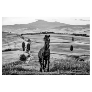 Maximus by David Yarrow, 2026 – Photography artwork