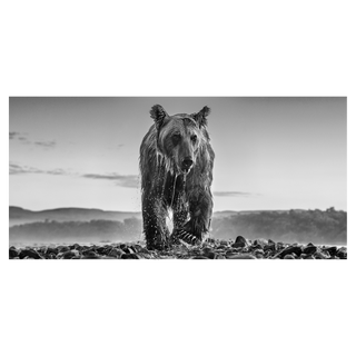 Bear Island by David Yarrow, 2023 – Photography artwork
