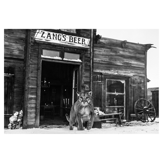 The Landlord by David Yarrow, 2015 – Photography artwork