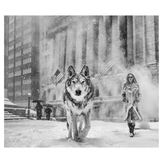 Wall Street Stories by David Yarrow, 2026 – Photography artwork