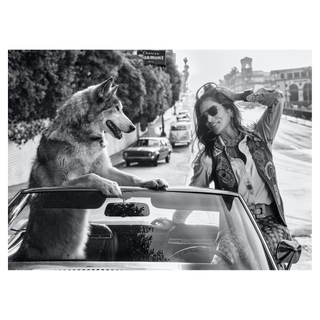The Fox and Hound by David Yarrow, 2022 – Photography artwork