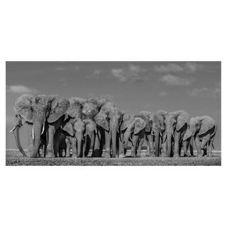 Defense by David Yarrow, 2019 – Photography artwork