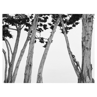 Kendall in Treetops Santa Barbara 2018 by Russell James – Photography artwork