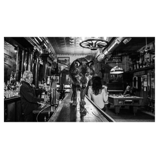 The Wolf of Main St III by David Yarrow, 2017 – Photography artwork