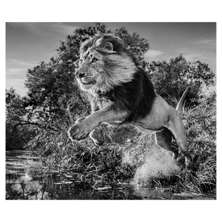 First Down by David Yarrow, 2020 – Photography artwork