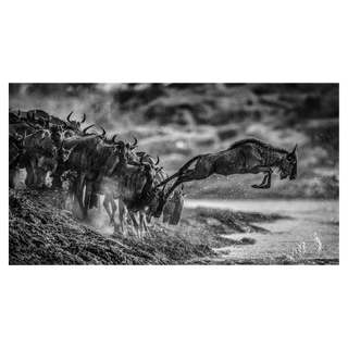 Follow the Leader by David Yarrow, 2020 – Photography artwork