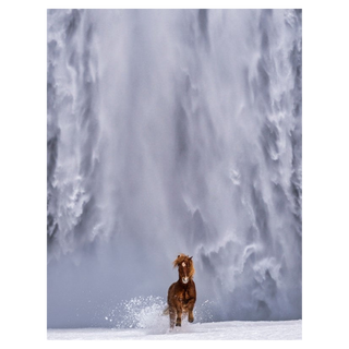 The Big Chill by David Yarrow, 2024 – Photography artwork