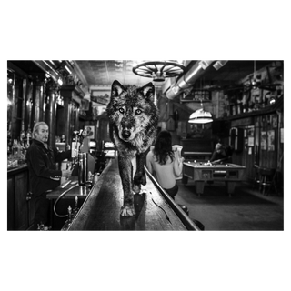 The Wolf of Main St II by David Yarrow, 2015 – Photography artwork