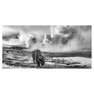 In the Beginning by David Yarrow, 2026 – Photography artwork