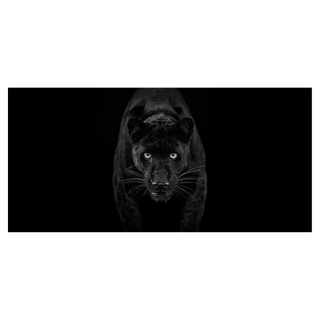 Black Magic by David Yarrow, 2025 – Photography artwork