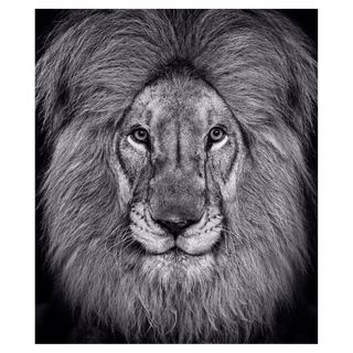 The King's Speech by David Yarrow, 2022 – Photography artwork