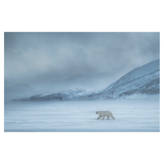 North of the Wall by David Yarrow, 2019 – Photography artwork