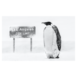 LA Baby by David Yarrow, 2022 – Photography artwork