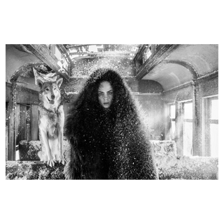 The Girl Who Cried Wolf by David Yarrow, 2020 – Photography artwork