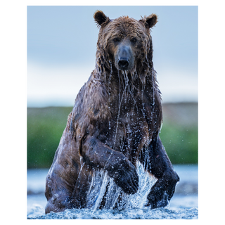 Backcountry (Colour) by David Yarrow, 2025 – Photography artwork