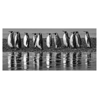 Oceans Eleven by David Yarrow, 2018 – Photography artwork