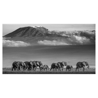 Walk the Line by David Yarrow, 2019 – Photography artwork