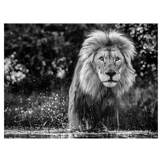 After The Flood by David Yarrow, 2020 – Photography artwork