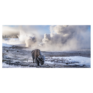 In the Beginning (Colour) by David Yarrow, 2026 – Photography artwork