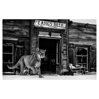 It's Closing Time by David Yarrow, 2015 – Photography artwork