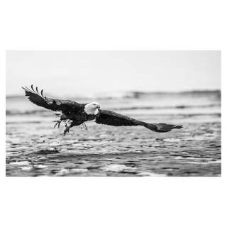 Taking Flight by David Yarrow, 2016 – Photography artwork
