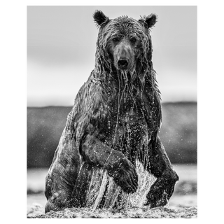Backcountry by David Yarrow, 2025 – Photography artwork