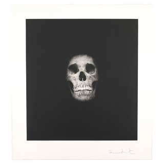 Skull 10 (Memento) by Damien Hirst, 2008 – Prints artwork