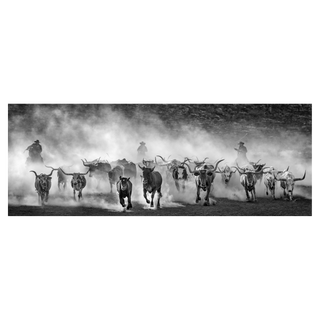 Lonesome Dove by David Yarrow, 2024 – Photography artwork