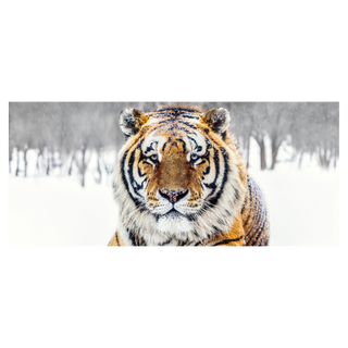 The Siberian II by David Yarrow, 2024 – Photography artwork