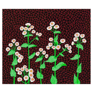 Flowers (2) by Yayoi Kusama, 1985 – Prints artwork