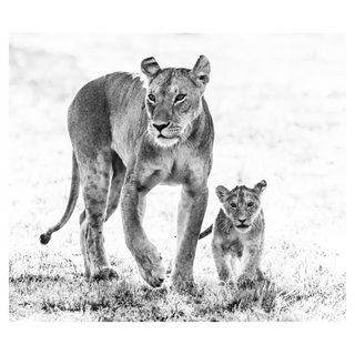 Mothers Day by David Yarrow, 2017 – Photography artwork