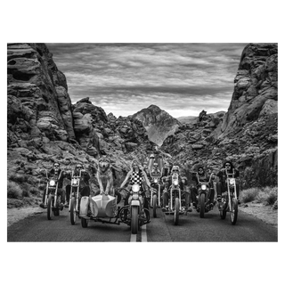The Leader of the Pack by David Yarrow, 2019 – Photography artwork