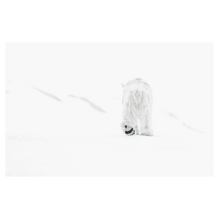 78 Degrees North II by David Yarrow, 2017 – Photography artwork