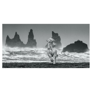 White Horses by David Yarrow, 2018 – Photography artwork