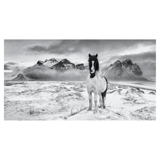 True North by David Yarrow, 2022 – Photography artwork