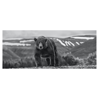 Pebble Beach by David Yarrow, 2021 – Photography artwork