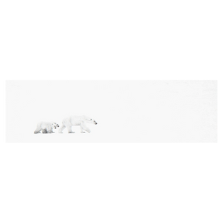 White Out by David Yarrow, 2015 – Photography artwork