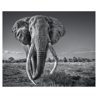 Space for Giants by David Yarrow, 2020 – Photography artwork