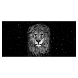 The Lion by David Yarrow, 2025 – Photography artwork