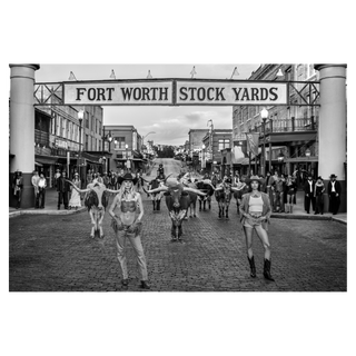All Nighter in Cowtown by David Yarrow, 2024 – Photography artwork