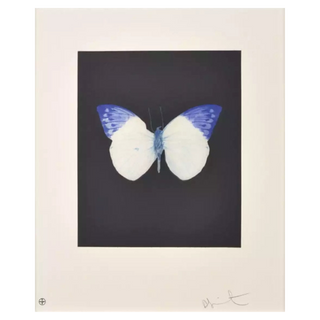 Butterfly (Life) by Damien Hirst, 2009 – Prints artwork