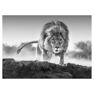 Relentless by David Yarrow, 2017 – Photography artwork