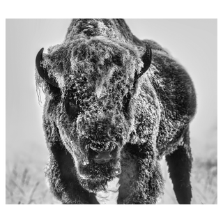 The Ice Monster by David Yarrow, 2025 – Photography artwork