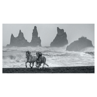 Wild Horses by David Yarrow, 2018 – Photography artwork