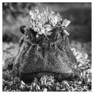 Royal Ascot by David Yarrow, 2017 – Photography artwork