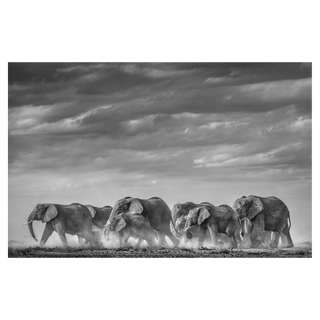 Desert Army by David Yarrow, 2020 – Photography artwork