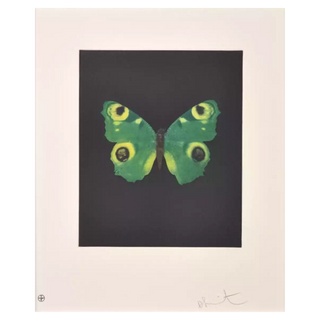 Butterfly (Fate) by Damien Hirst, 2009 – Prints artwork