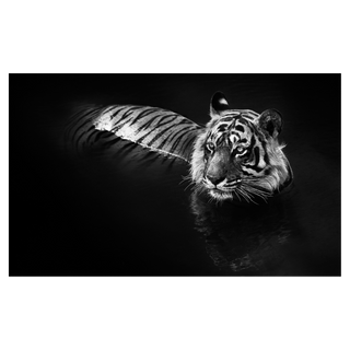 The Killer by David Yarrow, 2013 – Photography artwork