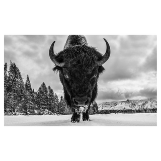 Road Rage by David Yarrow, 2026 – Photography artwork